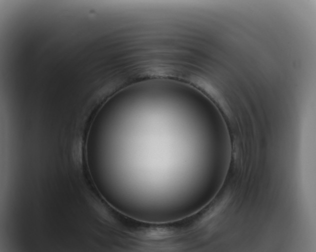 X0000089740445200706281610