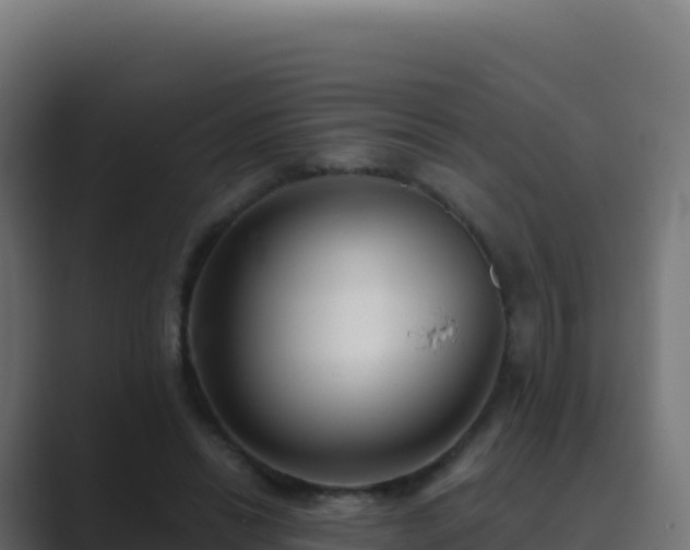 X0000089740446200706281610