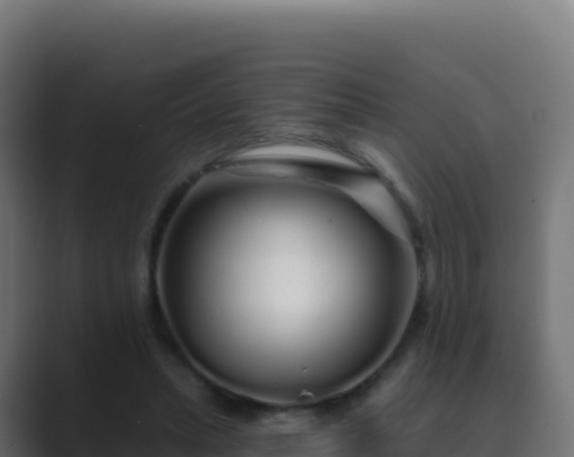 X0000089740447200706281610