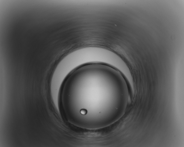 X0000089740448200706281610