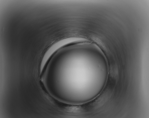 X0000089740449200706281610