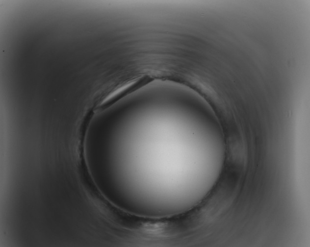 X0000089740450200706281610