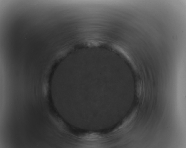 X0000089740451200706281610