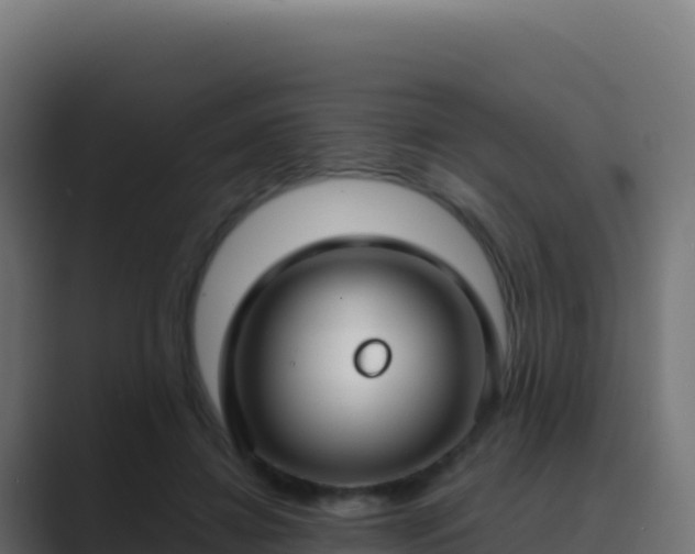 X0000089740452200706281610