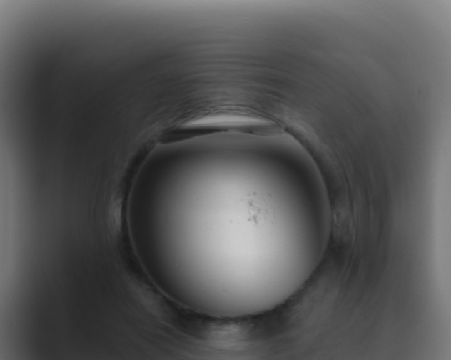 X0000089740454200706281610