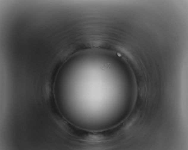 X0000089740455200706281610