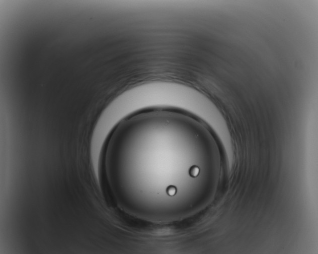 X0000089740456200706281610