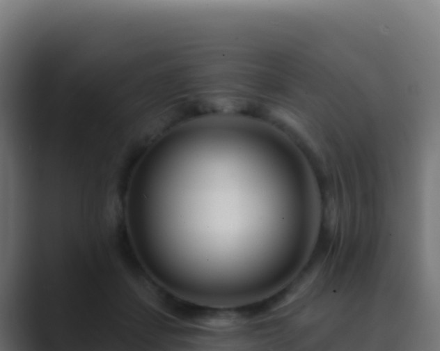 X0000089740459200706281610