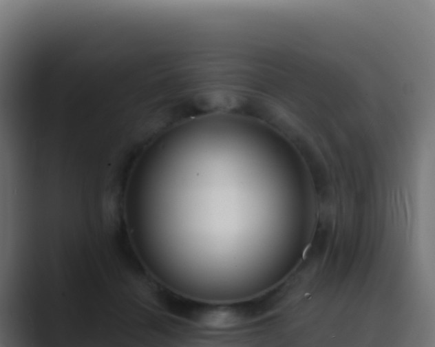 X0000089740460200706281610