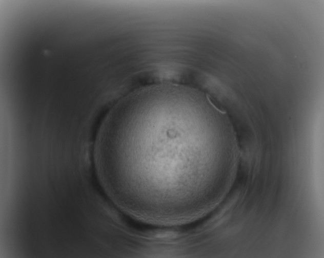 X0000089740462200706281610