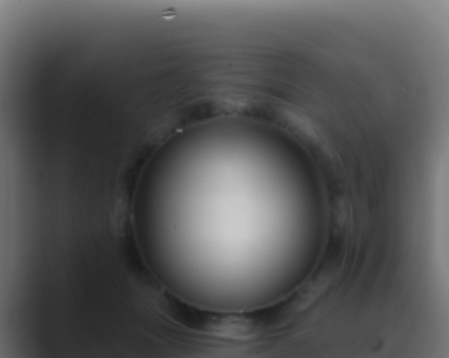 X0000089740463200706281610