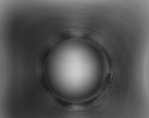 X0000089740464200706281610