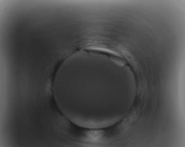 X0000089740465200706281610