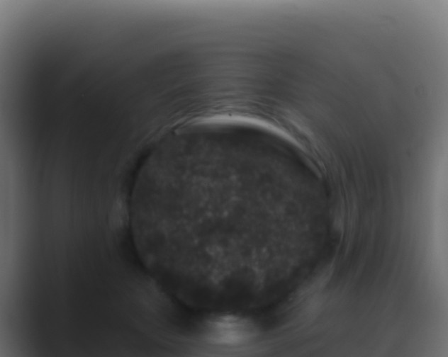 X0000089740467200706281611