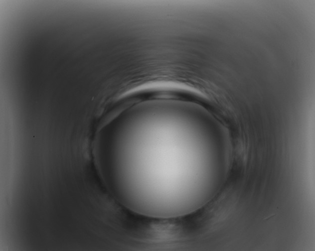 X0000089740470200706281611