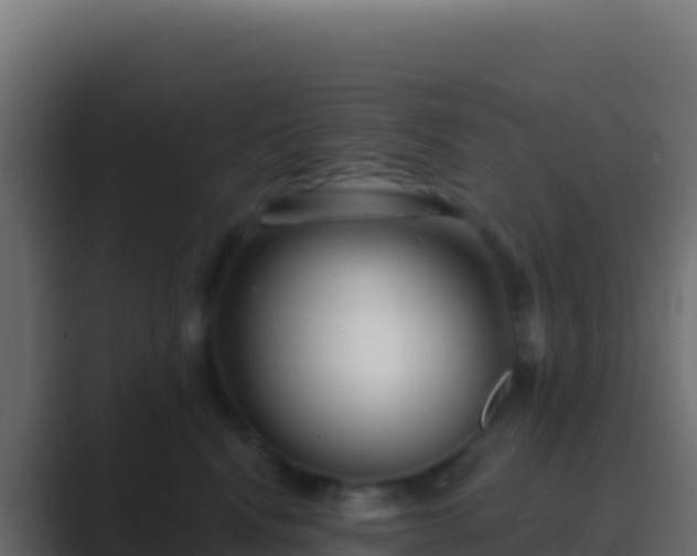 X0000089740472200706281611