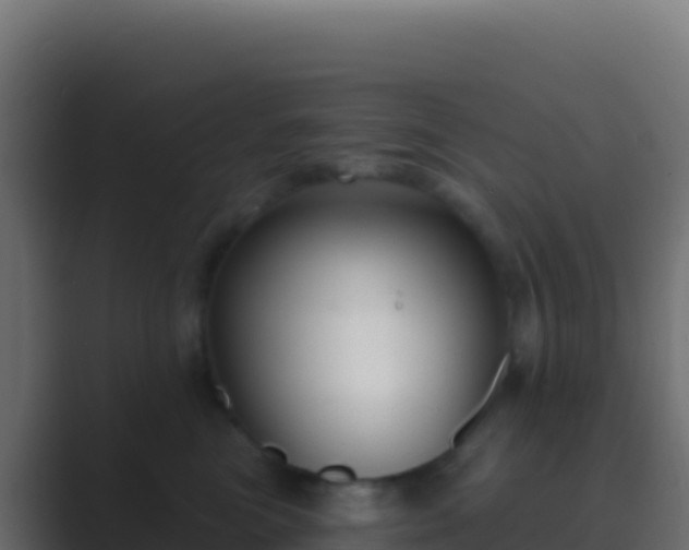 X0000089740473200706281611