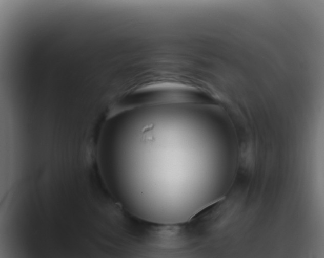 X0000089740474200706281611