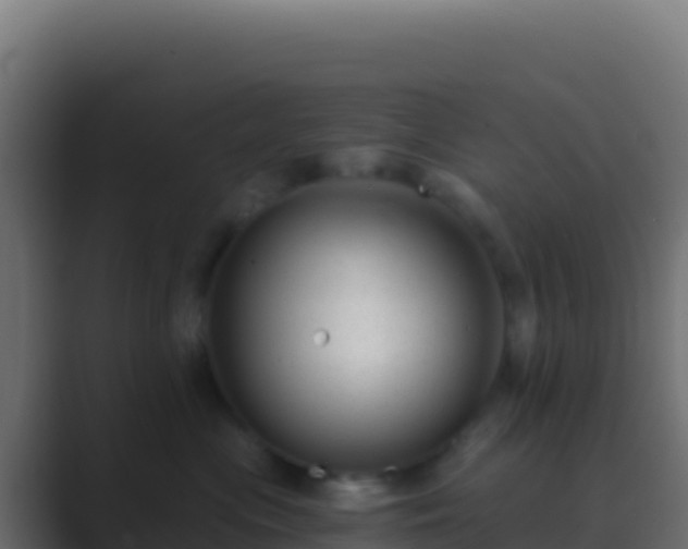 X0000089740477200706281611