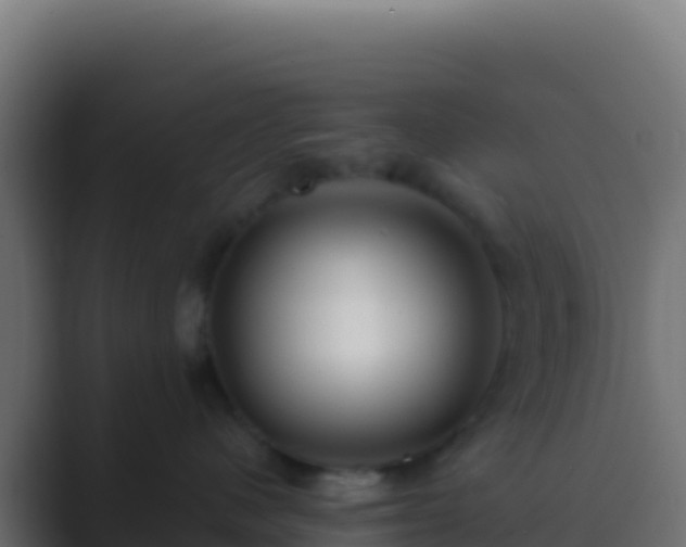 X0000089740480200706281611