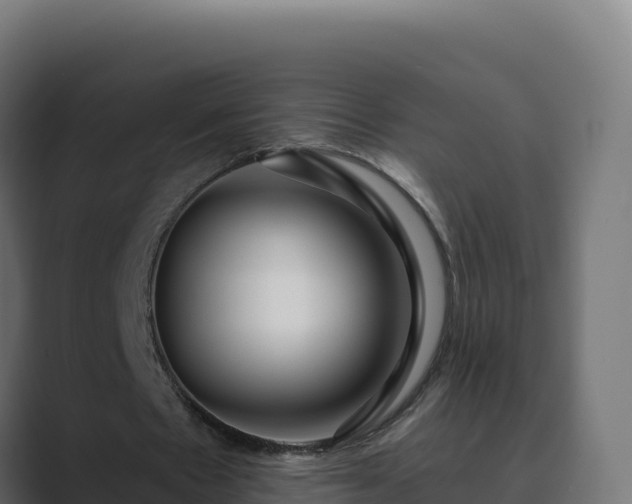 X0000089740481200706281610