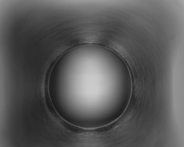 X0000089740482200706281610