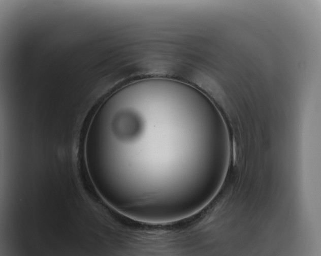 X0000089740483200706281610