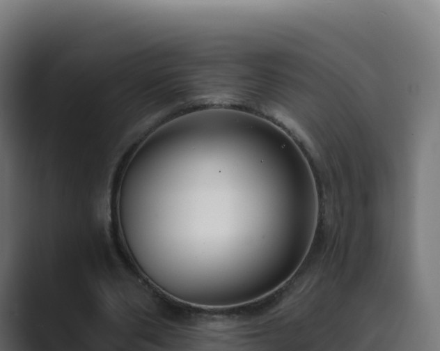 X0000089740486200706281610