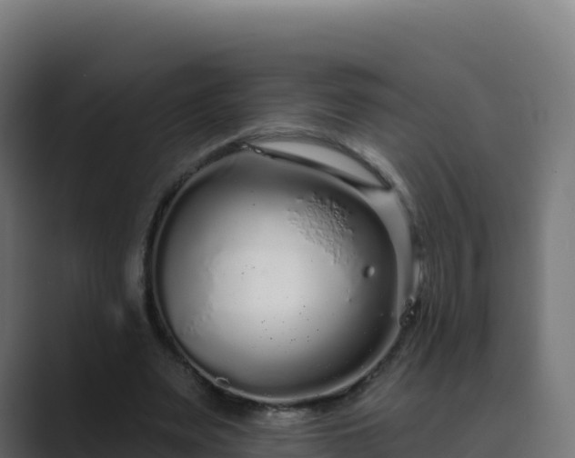 X0000089740487200706281610