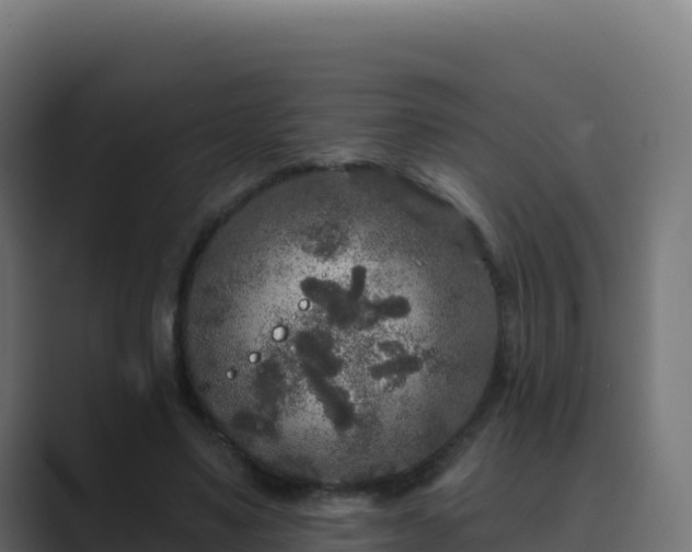 X0000089740491200706281610