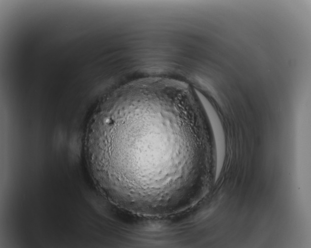 X0000089740495200706281610