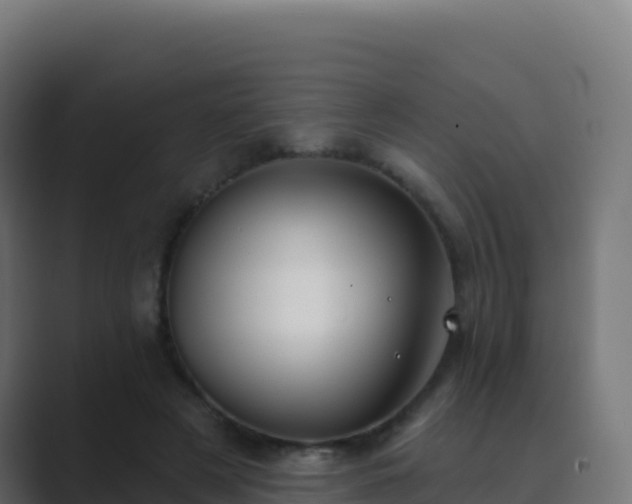 X0000089740497200706281610