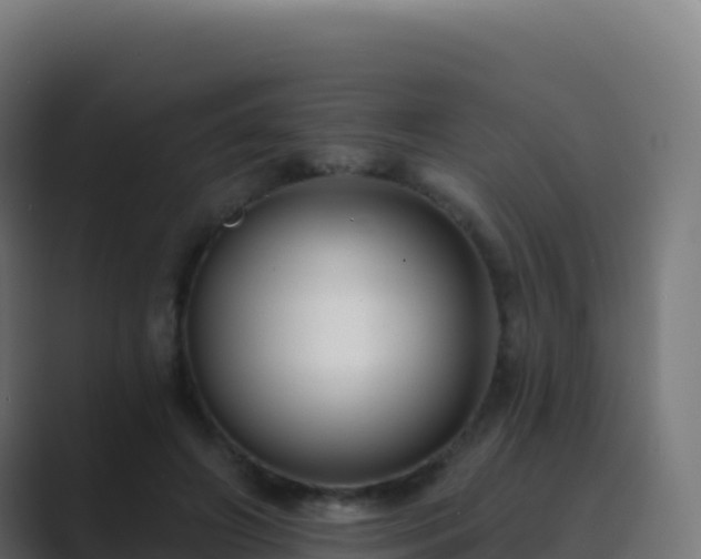 X0000089740498200706281610