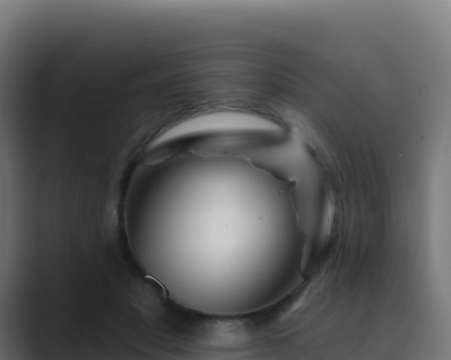 X0000089740501200706281610