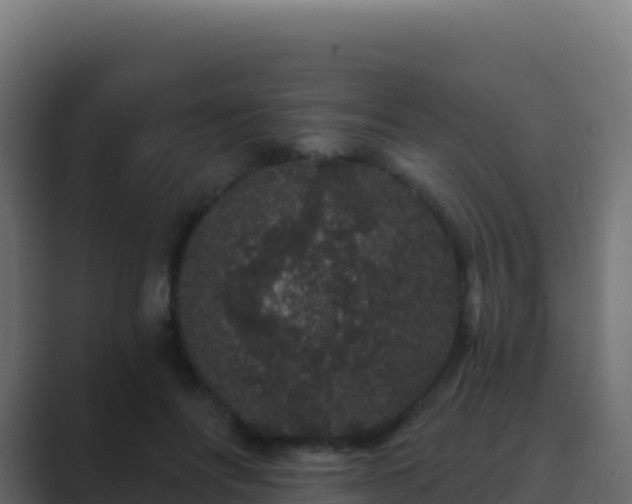 X0000089740502200706281610