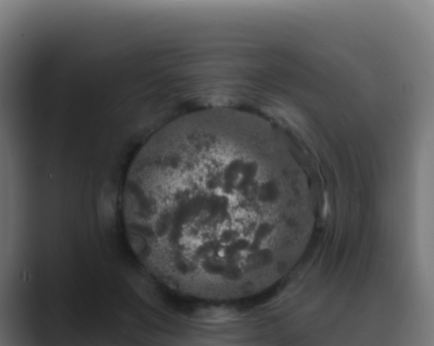 X0000089740503200706281610