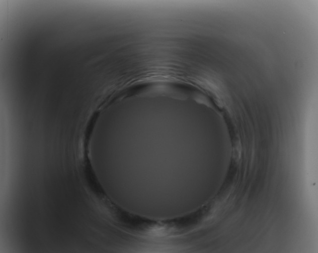 X0000089740504200706281610