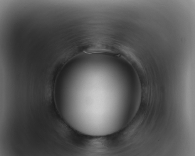 X0000089740505200706281610