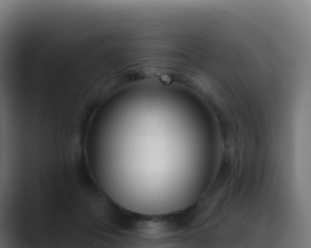 X0000089740506200706281610