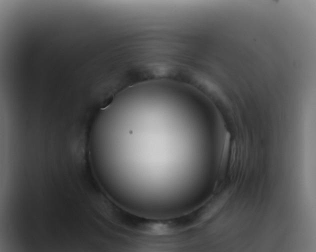 X0000089740509200706281610