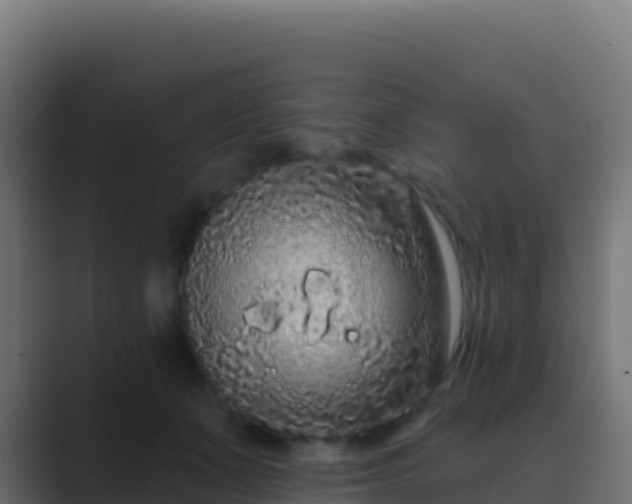 X0000089740511200706281610