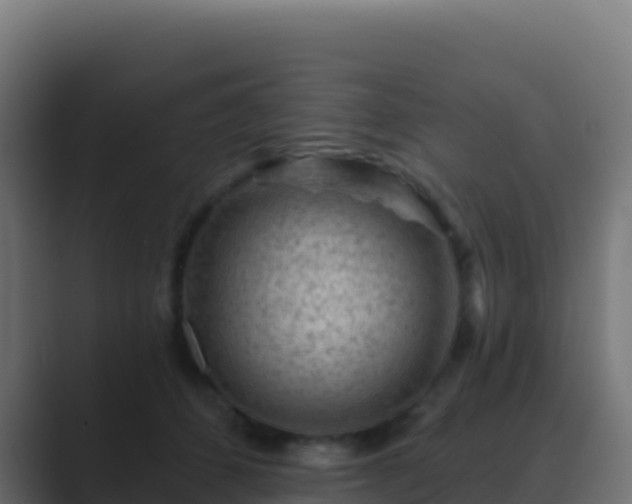 X0000089740512200706281610