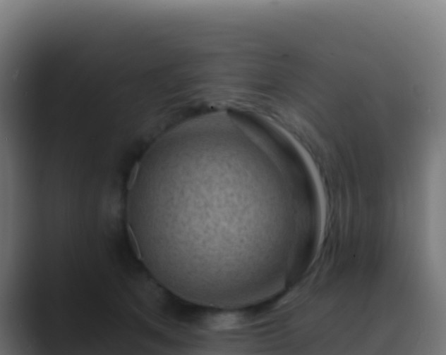 X0000089740513200706281610