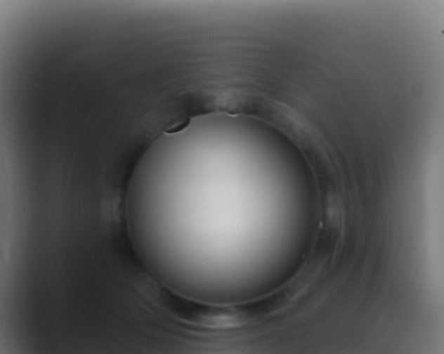 X0000089740514200706281610