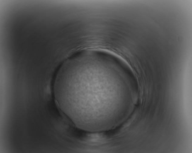 X0000089740516200706281610