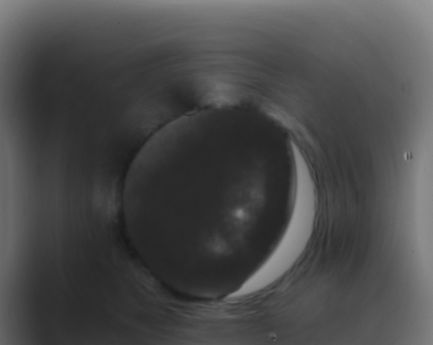 X0000089740517200706281610