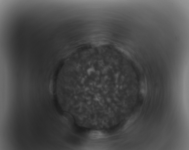 X0000089740519200706281610