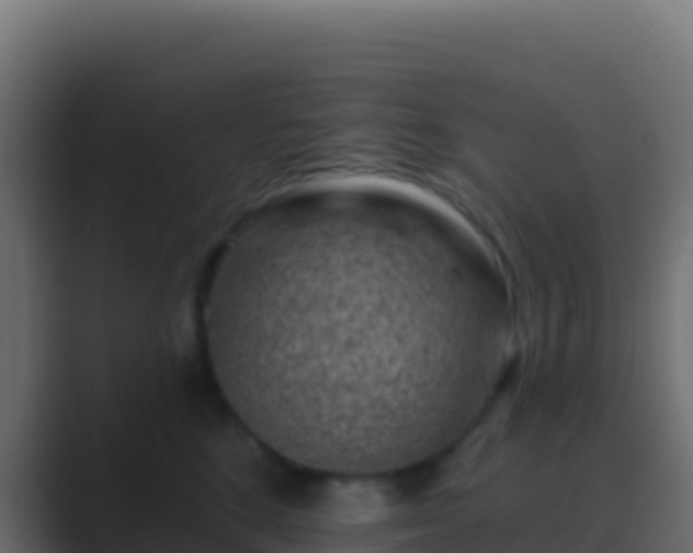 X0000089740520200706281610