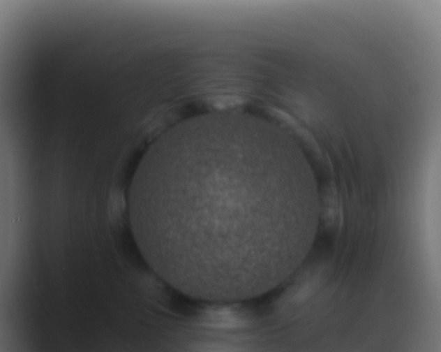 X0000089740523200706281610