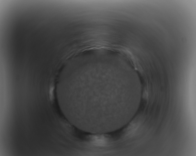 X0000089740524200706281610